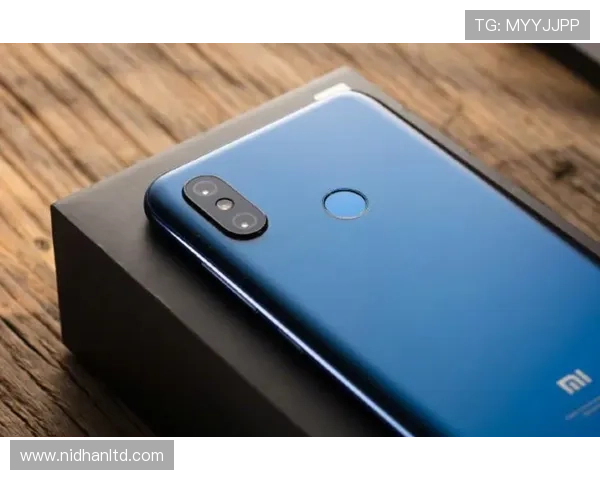 爱游戏手机娱乐：如何选择适合自己的高性能游戏手机